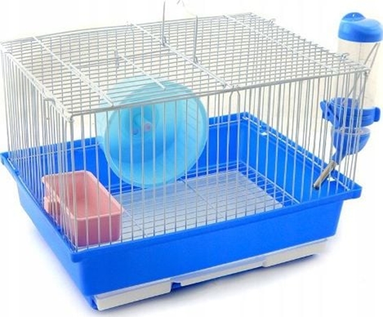 Изображение Panama Pet Klatka dla gryzoni do czasowego pobytu 30x23x20 cm biao/niebieska