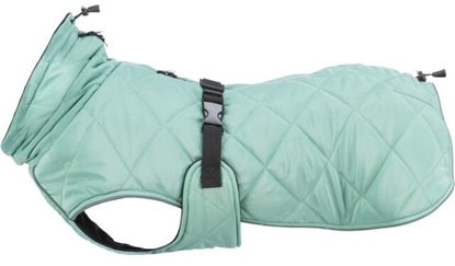 Picture of Paszcz dla psa Trixie Oslo Jade L 55 cm