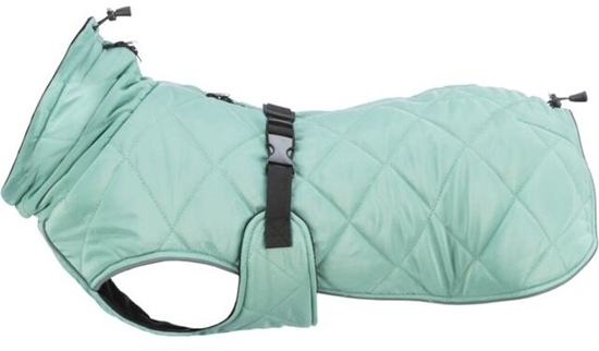 Изображение Paszcz dla psa Trixie Oslo Jade L 62 cm