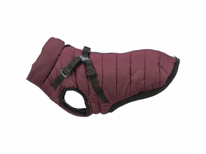 Picture of Paszcz dla psa Trixie Pirou Kasztanowy XXS