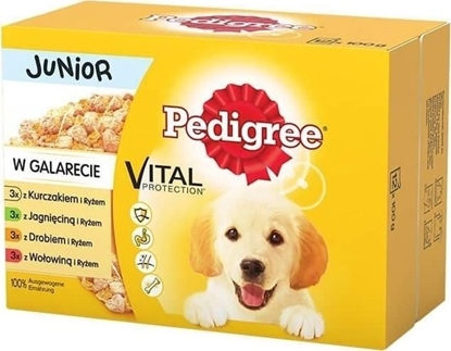 Attēls no Pedigree Junior mix smaków w galaretce 12x100g