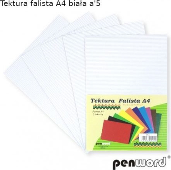 Picture of Penword Tektura falista PENWORD A4 5ark. - biaa Penword