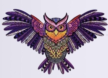 Attēls no PuzzleOK Puzzle drewniane eko 69 Magiczna sowa A4