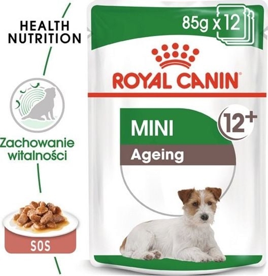 Picture of Royal Canin Royal Canin Mini Ageing 12+ karma mokra dla psów dojrzaych po 12 roku ycia, ras maych saszetka 85g