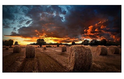 Picture of Samsung VM55B-U Indoor