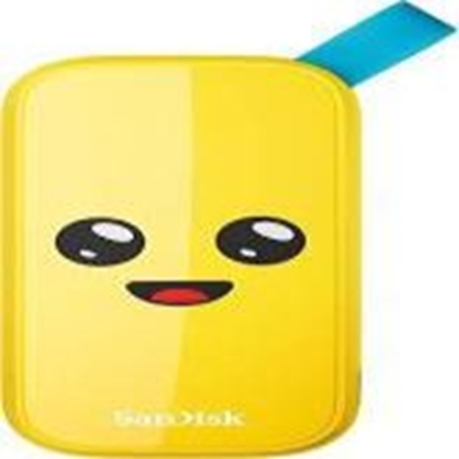 Attēls no SANDISK BY WESTERN DIGITAL External SSD||1TB|USB 3.2|Read speed 800 MBytes/sec|SDSSDE30-1T00-G25F