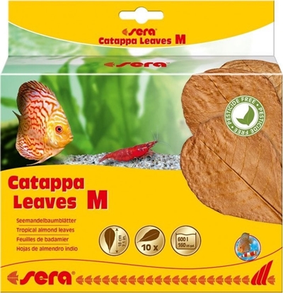 Attēls no Sera Licie migdaecznika - Catappa Leaves M, 18 cm, 10szt/OPAK