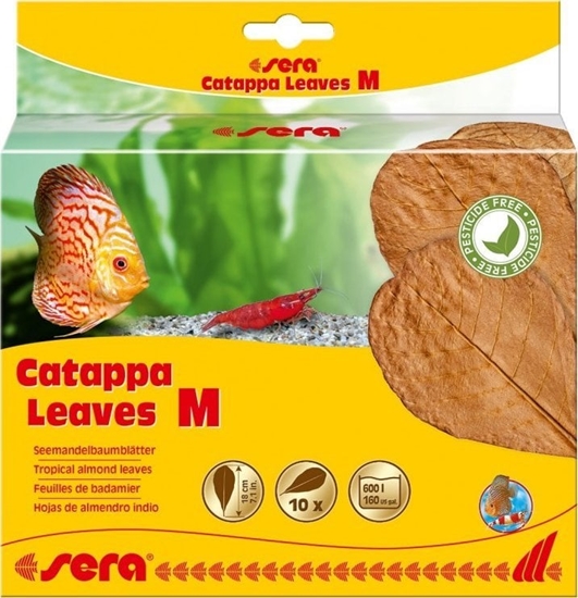 Picture of Sera Licie migdaecznika - Catappa Leaves M, 18 cm, 10szt/OPAK