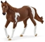 Attēls no SLH klacz rasy Paint Horse 14901 70420