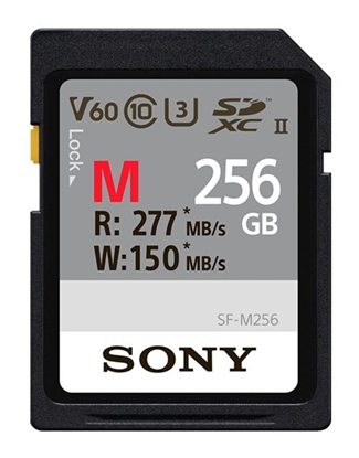 Picture of Sony SDXC M series         256GB UHS-II Class 10 U3 V60