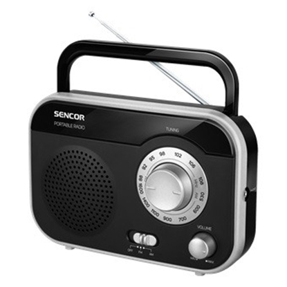 Изображение SRD 210BS Radio analogowe