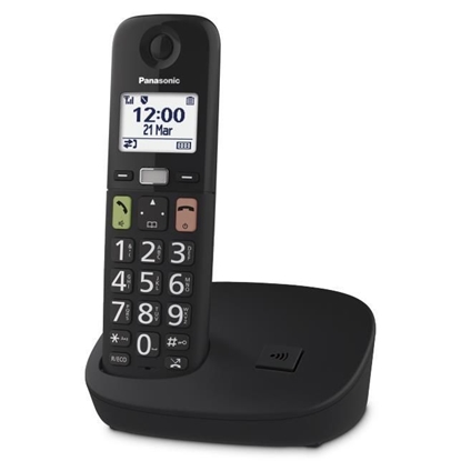 Изображение TELEPHONE RADIO/KX-TGU110FXB PANASONIC