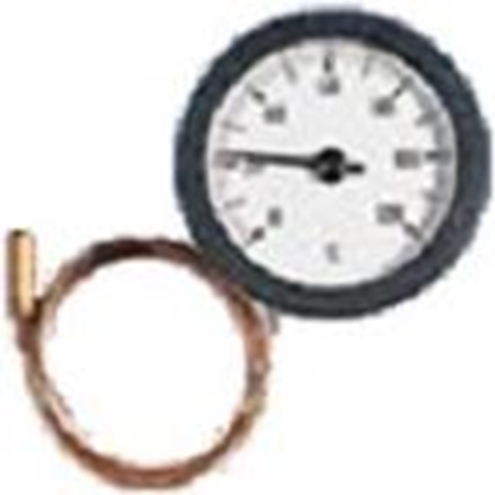 Picture of Termometrs TC50 ar kapil. D60mm 120*C (l=1m) WATTS