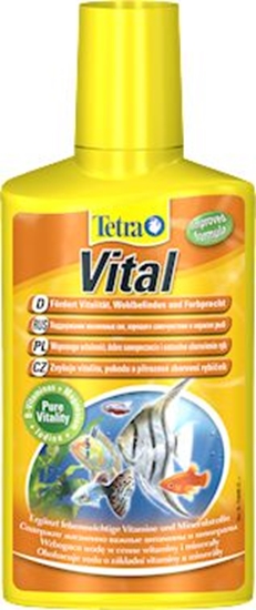 Picture of Tetra TetraVital 500 ml - rodek witaminowy dla ryb i rolin