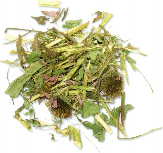 Picture of Tivo TIVO JEZOWKA 120G 6031