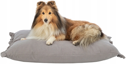 Attēls no Trixie Amelie cushion, square, 100 × 70 cm, light grey