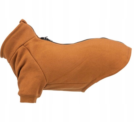 Picture of Trixie CityStyle Amsterdam sweatshirt, L: 62 cm, rust