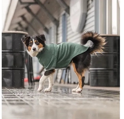 Attēls no Trixie CityStyle Amsterdam sweatshirt, M: 50 cm, dark green