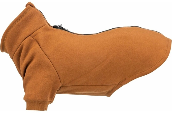 Picture of Trixie CityStyle Amsterdam sweatshirt, S: 36 cm, rust