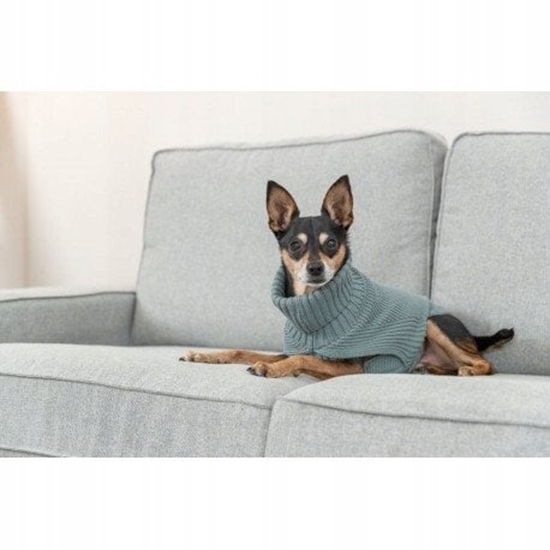 Picture of Trixie CityStyle Berlin pullover, S: 33 cm, sage