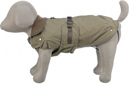 Изображение Trixie Hermy coat, XS: 28 cm, olive green