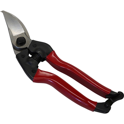 Picture of Zaru grieznes Asaka Elephant 210 PRO