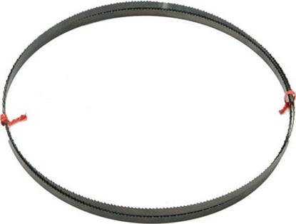 Attēls no 14 Degrees East Brzeszczot do drewna 2215 x 10 x 0.4 mm (DT8472)