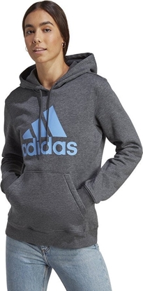 Изображение Adidas Bluza adidas Big Logo FL R HD IC9845