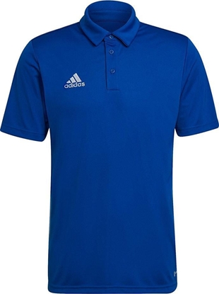 Изображение Adidas Koszulka adidas ENTRADA 22 Polo HG6285 HG6285 niebieski M