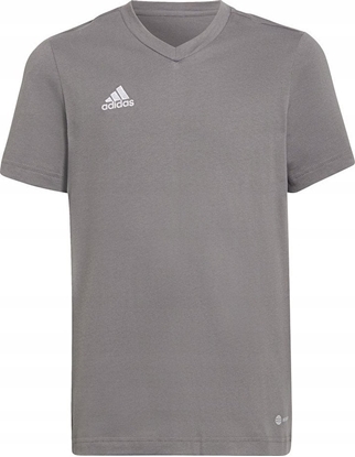 Picture of Adidas Koszulka dla dzieci adidas Entrada 22 Tee szara HC0444 152cm