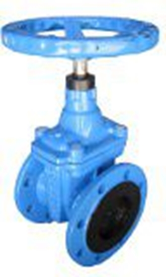 Picture of Aizbīdnis čug. ar gum. ķīli Dn80 Pn16, K14 BLUCAST