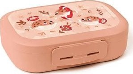 Picture of Amuse Lunchbox do szkoy CLIP Rybka / Amuse