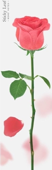 Picture of Appree Kartki samoprzylepne pion - róa czerwona