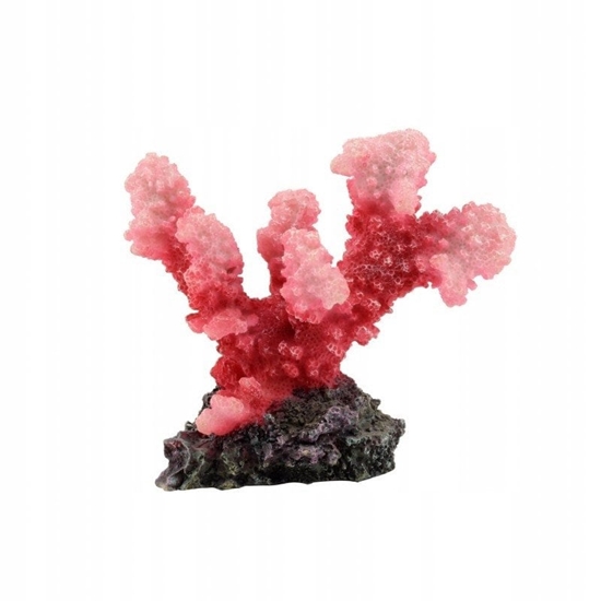 Изображение Aqua Natura Dekoracja akwarystyczna koralowiec rowy 11cm