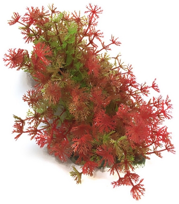 Attēls no Aqua Natura,  rolina, do dekoracji akwarium, czerwona, plastikowa, 12-23 cm , bardzo drobne czerwone kwiaty
