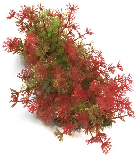 Изображение Aqua Natura,  rolina, do dekoracji akwarium, czerwona, plastikowa, 12-23 cm , bardzo drobne czerwone kwiaty
