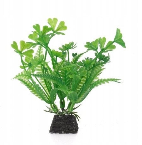 Picture of Aqua Natura,  rolina, do dekoracji akwarium, zielona, plastikowa, 10 cm , alaria z kwiatami w ksztacie koniczyny
