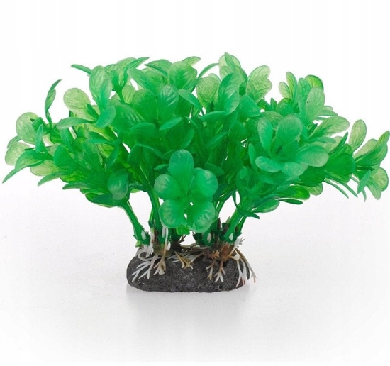 Picture of Aqua Natura,  rolina, do dekoracji akwarium, zielona, plastikowa, 10 cm , wodna paprotka