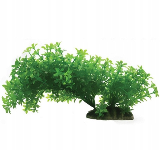 Picture of Aqua Natura,  rolina, do dekoracji akwarium, zielona, plastikowa, 23 cm , rozlegla rolina na wskiej podstawce