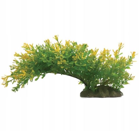 Picture of Aqua Natura,  rolina, do dekoracji akwarium, zielona, plastikowa, 23 cm , rozlegla rolina na wskiej podstawce, tawe kocwki lici