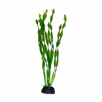Picture of Aqua Natura, rolina, do dekoracji akwarium, zielona, plastikowa, 28 cm , spirulina, wysoka
