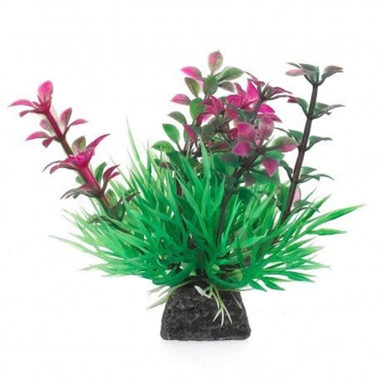 Picture of Aqua Natura,  rolina, do dekoracji akwarium, zielono-rowa, plastikowa, 10 cm , wzrastajce pdy i spirulina