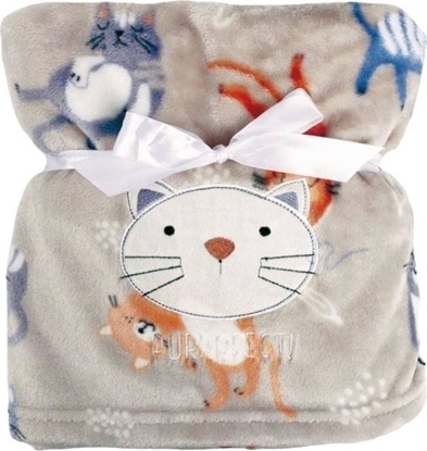 Picture of BabyMatex Kocyk 75 x 100 Mikrofibra z Haftem Ricco RI6A