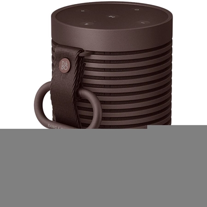 Изображение BANG & OLUFSEN Beosound Explore Chestnut Brown