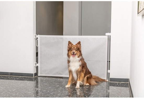 Picture of Barierka na rolce, zwijana, dla psa, 0137  86 cm