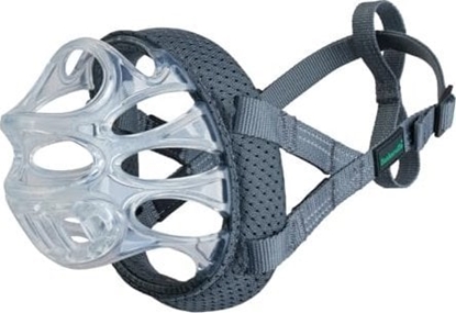 Attēls no BASKERVILLE KAGANIEC INVISA 5