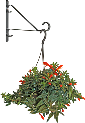 Attēls no BESK Puku poda turetajs sienas  metala 30.5cm