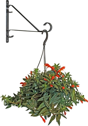 Изображение BESK Puku poda turetajs sienas  metala 30.5cm