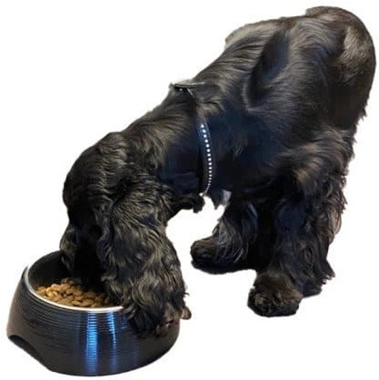 Picture of Bestron Paw Love Melamine bowl with steel bowl 700ml Black