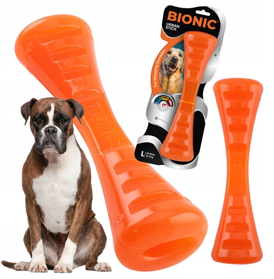 Picture of BIONIC Urban Stick, gryzak, dla psa, M, 23cm
